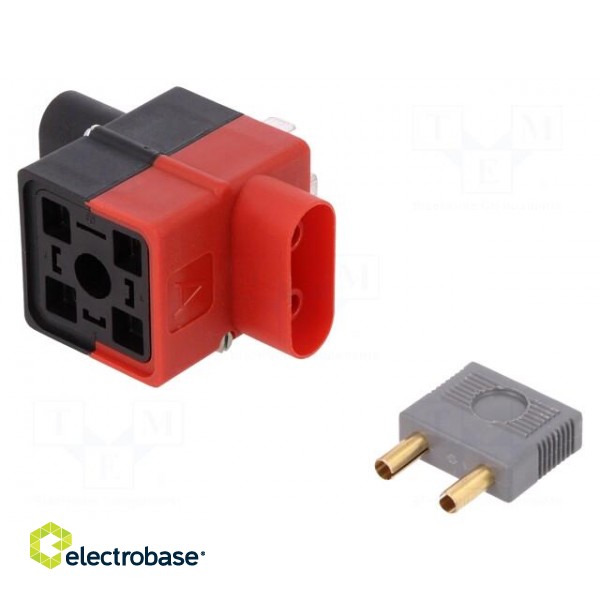 Diagnostic adapter | DIN 43650A socket,DIN 43650A plug | GDM image 1
