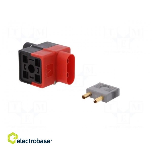 Diagnostic adapter | DIN 43650A socket,DIN 43650A plug | GDM image 2