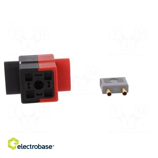Diagnostic adapter | DIN 43650A socket,DIN 43650A plug | GDM image 9