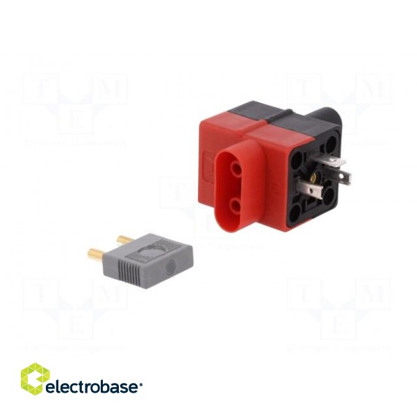 Diagnostic adapter | DIN 43650A socket,DIN 43650A plug | GDM image 4