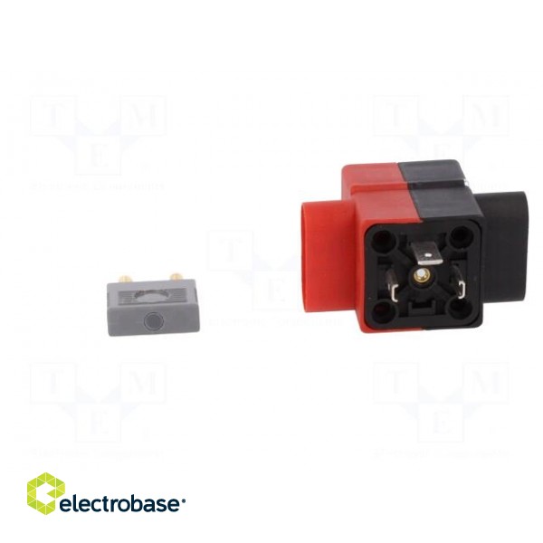 Diagnostic adapter | DIN 43650A socket,DIN 43650A plug | GDM image 5