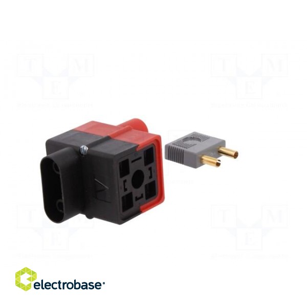 Diagnostic adapter | DIN 43650A socket,DIN 43650A plug | GDM image 8