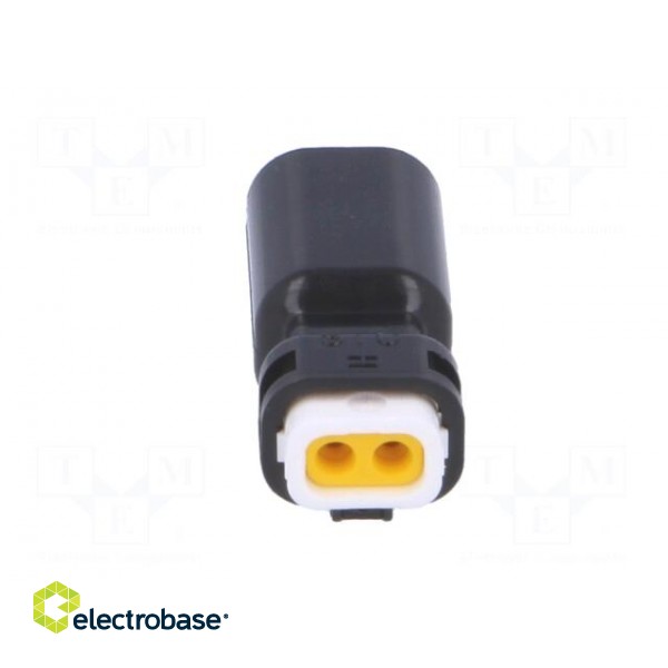 Connector: wire-wire | 565,E-Seal | plug | male | PIN: 2 | IP67 | 9.1mm image 5