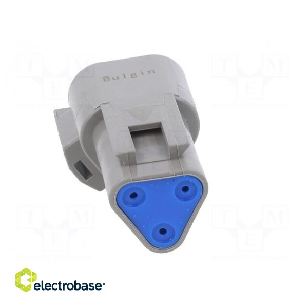 Connector: wire-wire | PX0 | male | plug | for cable | PIN: 3 | grey | IP68 paveikslėlis 5