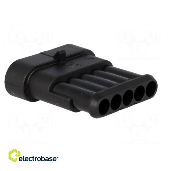 Connector: wire-wire | Superseal 1.5 | plug | male | PIN: 5 | IP67 | 24VDC paveikslėlis 4