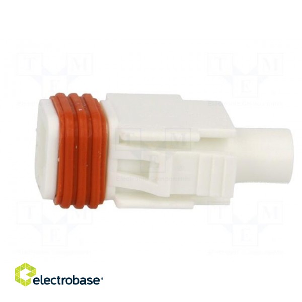 Connector: wire-wire/PCB | 570,E-Seal | plug | female | PIN: 1 | IP67 фото 3