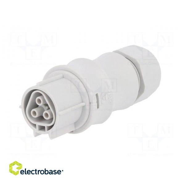 Plug | Connector: circular | female | PIN: 3 | silver plated | 20A | 250V paveikslėlis 2