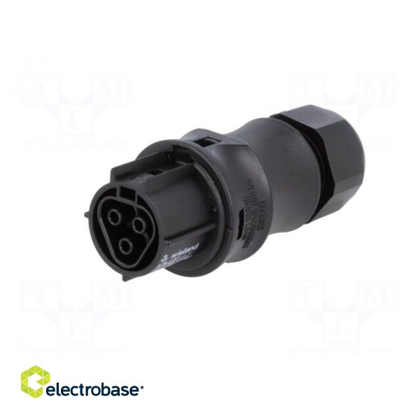 Plug | Connector: circular | female | PIN: 3 | silver plated | 20A | 250V image 2