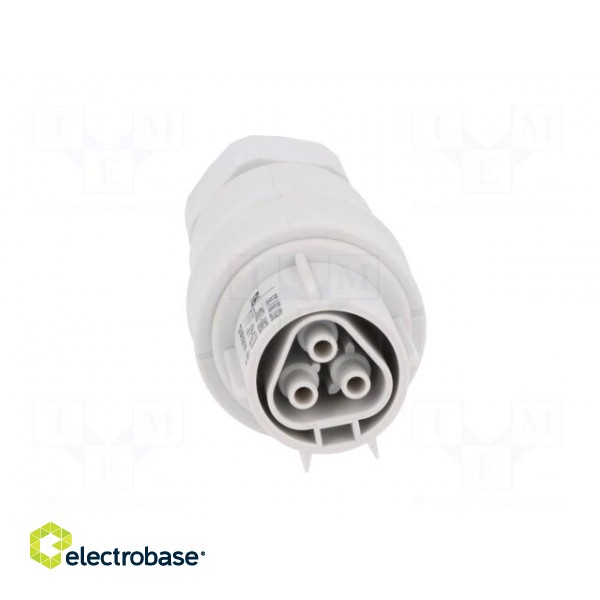 Plug | Connector: circular | female | PIN: 3 | silver plated | 20A | 250V paveikslėlis 9