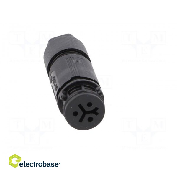 Connector: circular | plug | RST | female | PIN: 3 | silver plated | 8A image 9