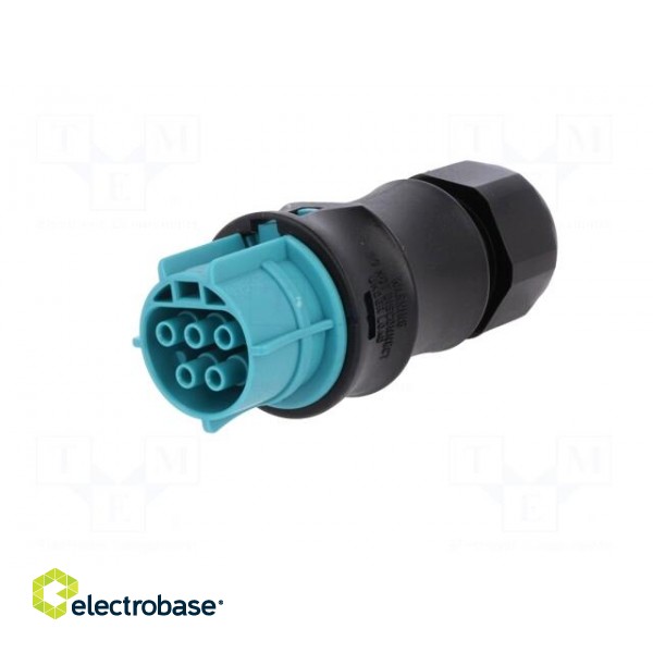 Plug | Connector: circular | female | PIN: 5 | silver plated | 20A | 250V image 2