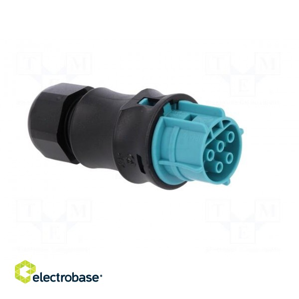 Plug | Connector: circular | female | PIN: 5 | silver plated | 20A | 250V image 8