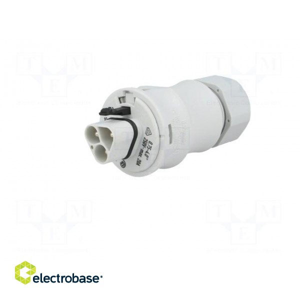 Plug | Connector: circular | male | PIN: 3 | silver plated | 20A | 250V фото 2