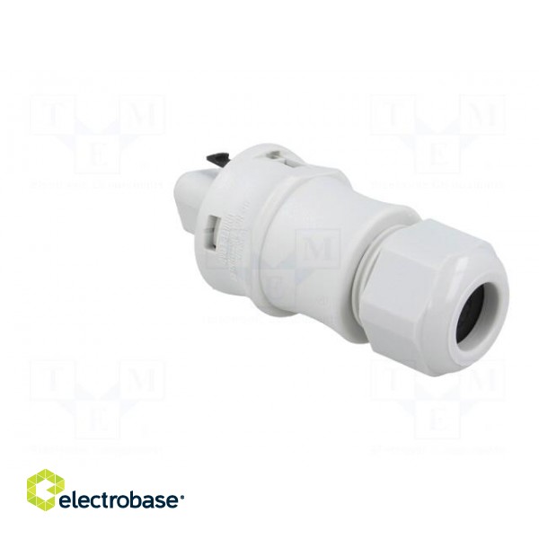 Connector: circular | plug | RST | male | PIN: 3 | silver plated | 20A image 4
