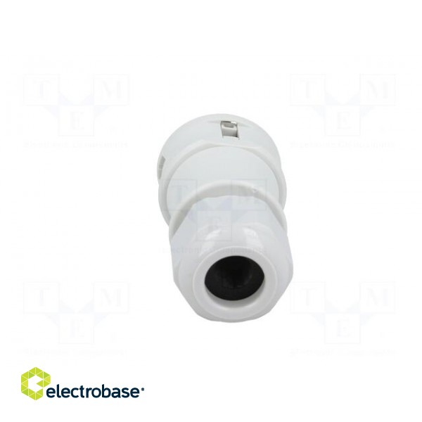 Plug | Connector: circular | male | PIN: 3 | silver plated | 20A | 250V paveikslėlis 5