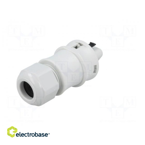 Plug | Connector: circular | male | PIN: 3 | silver plated | 20A | 250V фото 6
