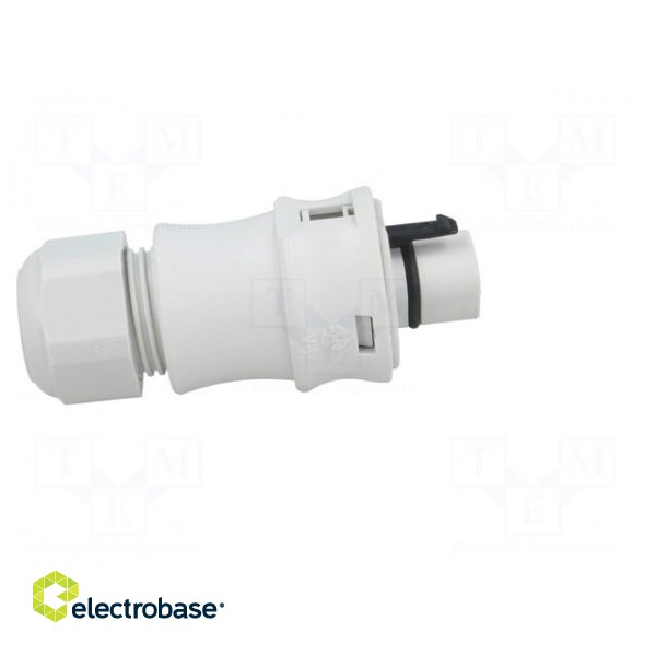 Plug | Connector: circular | male | PIN: 3 | silver plated | 20A | 250V image 7