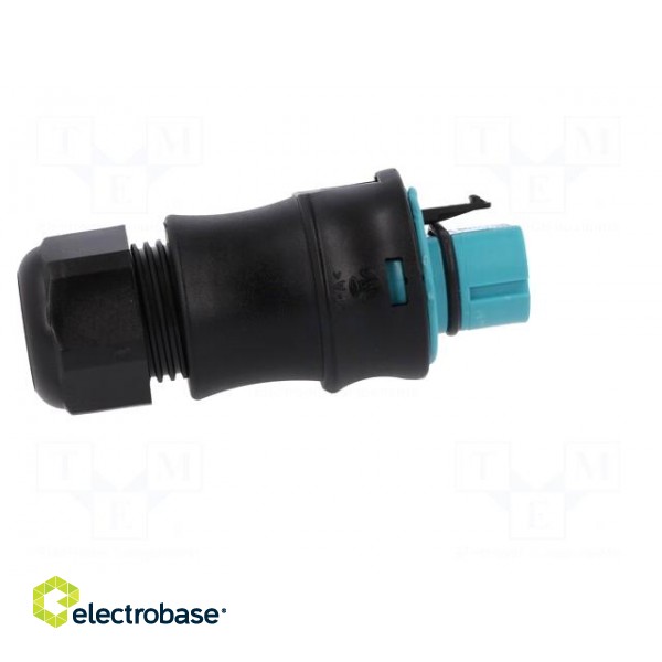 Plug | Connector: circular | male | PIN: 5 | silver plated | 20A | 250V image 7