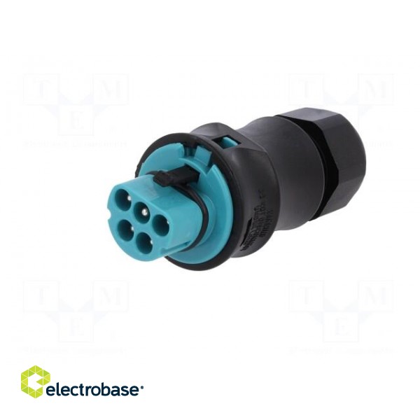 Plug | Connector: circular | male | PIN: 5 | silver plated | 20A | 250V paveikslėlis 2