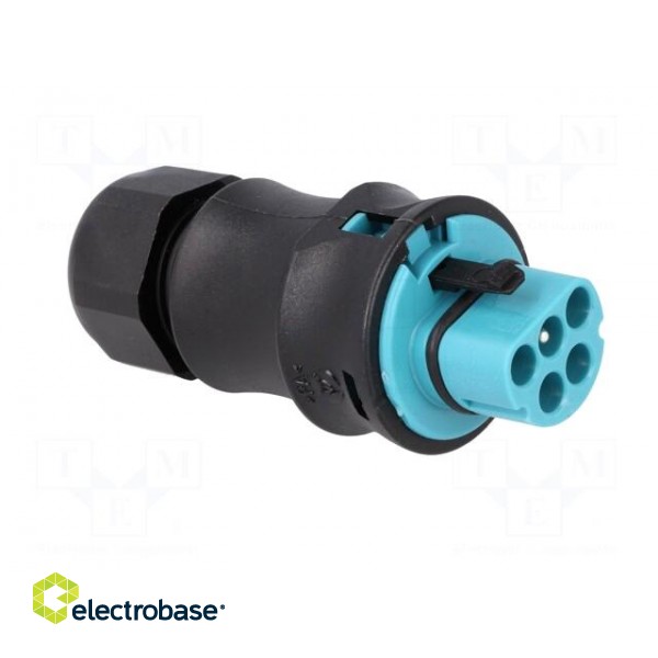 Plug | Connector: circular | male | PIN: 5 | silver plated | 20A | 250V image 8