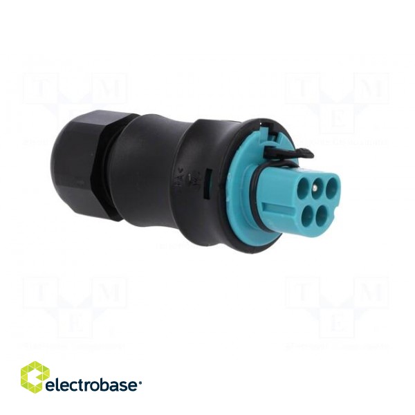 Plug | Connector: circular | male | PIN: 5 | silver plated | 20A | 250V paveikslėlis 8