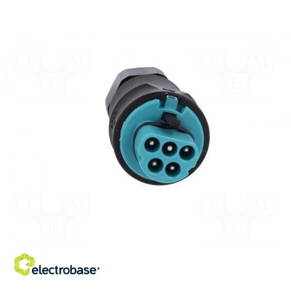 Plug | Connector: circular | male | PIN: 5 | silver plated | 20A | 250V paveikslėlis 9