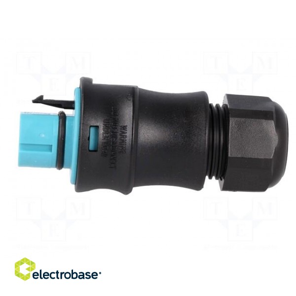 Plug | Connector: circular | male | PIN: 5 | silver plated | 20A | 250V image 3