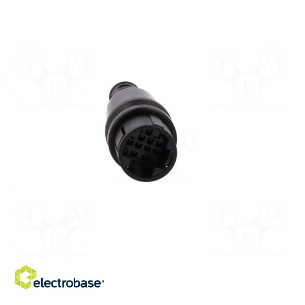 Plug | Connector: circular | RP13 | male | PIN: 13 | w/o contacts | 100V image 9