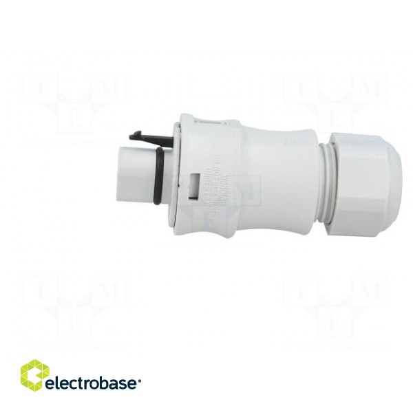 Plug | Connector: circular | male | PIN: 3 | silver plated | 20A | 250V paveikslėlis 3