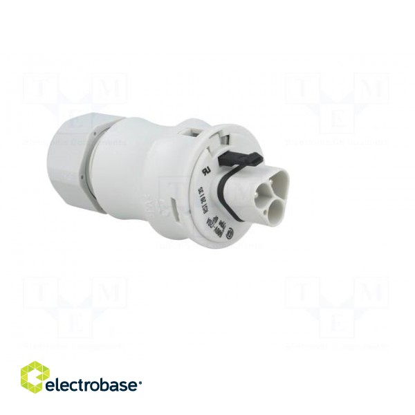 Plug | Connector: circular | male | PIN: 3 | silver plated | 20A | 250V image 8