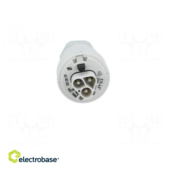 Plug | Connector: circular | male | PIN: 3 | silver plated | 20A | 250V фото 9