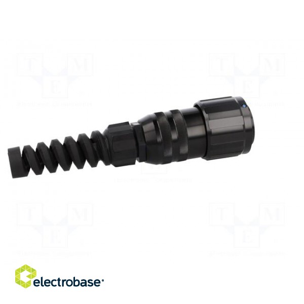 Plug | Size: 16 | Connector: circular | MP-41 | female | PIN: 37 | 13A | IP67 image 7