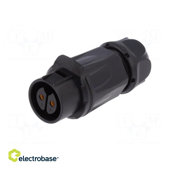 Plug | Connector: circular | size 20 | 02 | female | PIN: 2 | for latch paveikslėlis 2