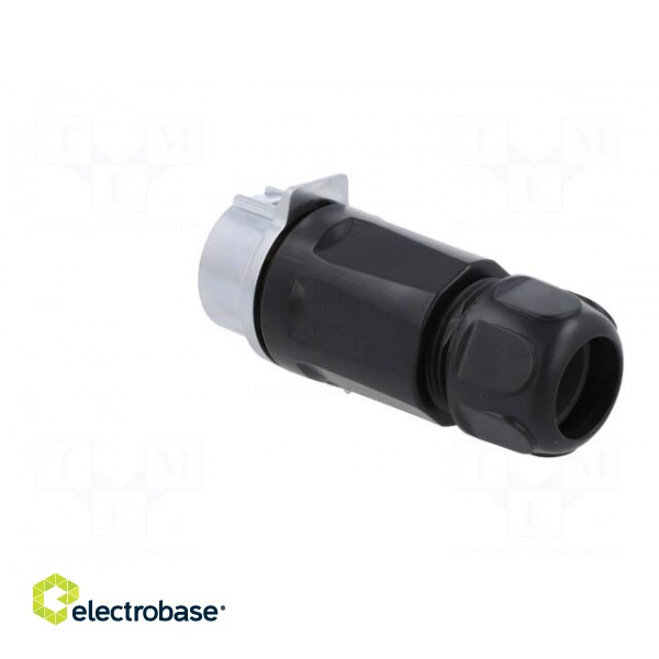 Connector: circular | plug | size 28 | 02 | male | PIN: 3 | for latch | 43A image 4
