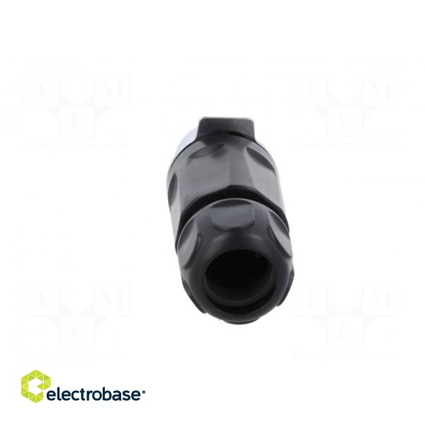 Connector: circular | plug | size 28 | 02 | male | PIN: 3 | for latch | 43A image 5