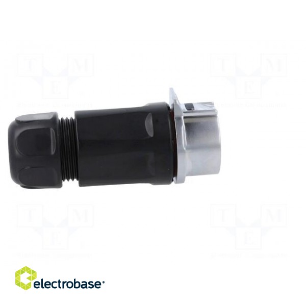Connector: circular | plug | size 28 | 02 | male | PIN: 3 | for latch | 43A image 7