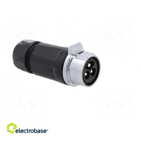 Connector: circular | plug | size 28 | 02 | male | PIN: 3 | for latch | 43A image 8