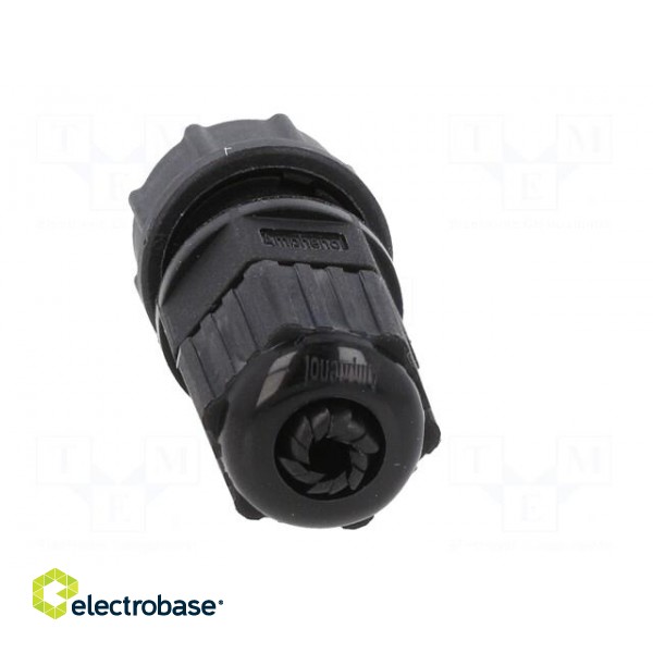 Connector: circular | plug | size B | male | PIN: 2 | 5A | IP67 | 4.5÷6.5mm image 5