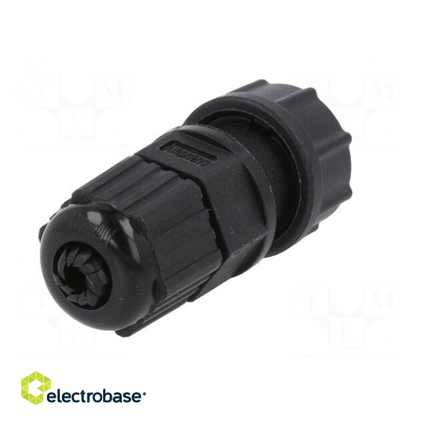 Connector: circular | plug | size B | male | PIN: 2 | 5A | IP67 | 4.5÷6.5mm image 6
