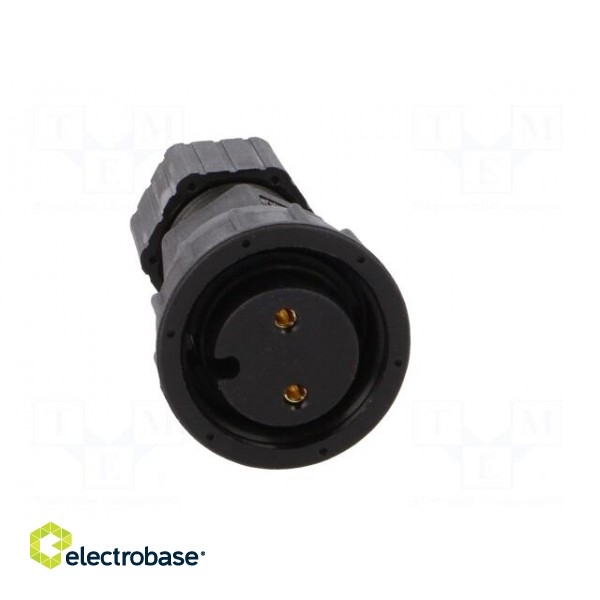 Connector: circular | plug | size D | female | PIN: 2 | gold-plated | 20A image 9