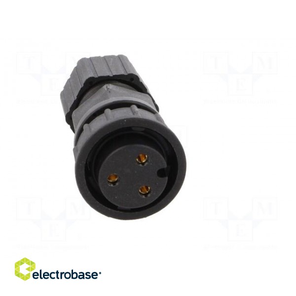Connector: circular | plug | size D | female | PIN: 3 | gold-plated | 20A image 9