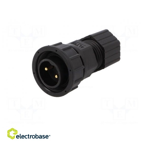 Connector: circular | plug | size D | male | PIN: 2 | gold-plated | 20A image 2