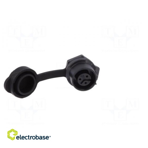 Socket | Connector: circular | size 12 | 02 | female | PIN: 3 | for latch фото 9