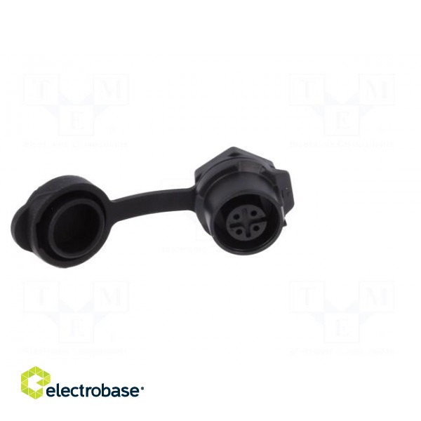 Socket | Connector: circular | size 12 | 02 | female | PIN: 4 | for latch фото 9