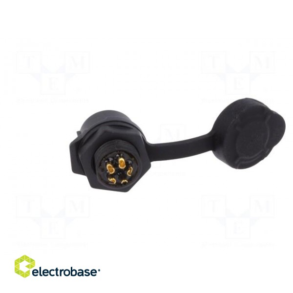 Socket | Connector: circular | size 12 | 02 | female | PIN: 5 | for latch фото 5