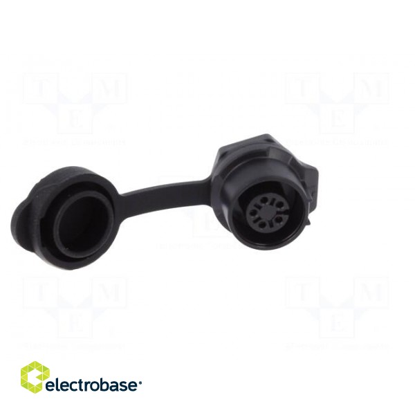 Connector: circular | socket | size 12 | 02 | female | PIN: 5 | for latch image 9