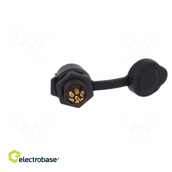 Connector: circular | socket | size 12 | 02 | female | PIN: 7 | for latch image 5