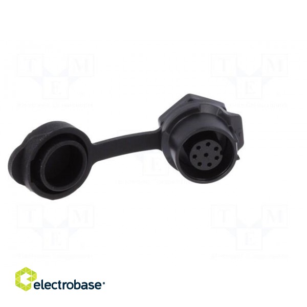 Socket | Connector: circular | size 12 | 02 | female | PIN: 8 | for latch фото 9