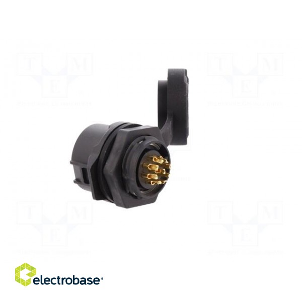 Socket | Connector: circular | size 16 | 02 | female | PIN: 9 | for latch фото 4