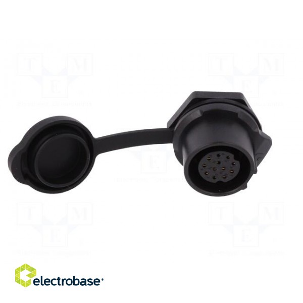 Socket | Connector: circular | size 20 | 02 | female | PIN: 12 | for latch фото 9